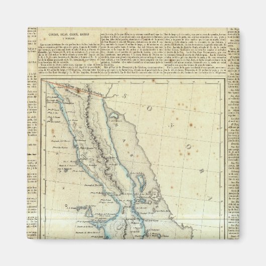 メキシコ，バハ・カリフォルニア マグネット (正面)