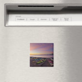 メキシコ、バハ、コルテス海。シーカヤックと マグネット (インサイチュ (食洗機))