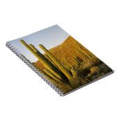 メキシコ、バハ、サンタカタリーナ島、海 ノートブック (右側)