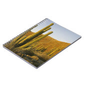 メキシコ、バハ、サンタカタリーナ島、海 ノートブック (左側)