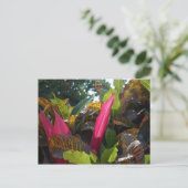 メキシコ，ブセリアスの色 ポストカード (スタンド正面)