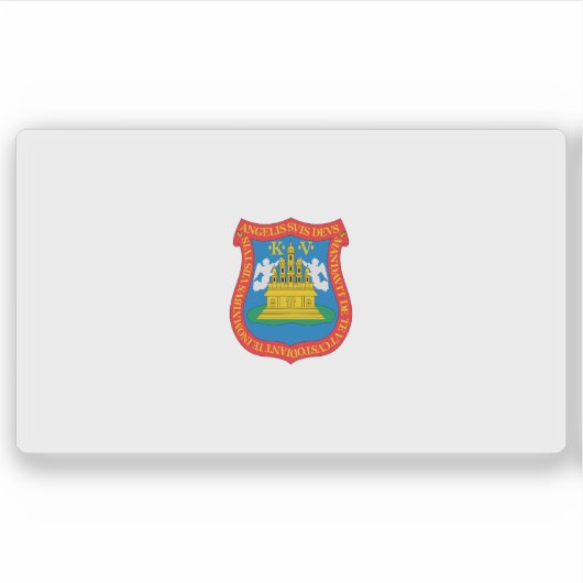 メキシコ・プエブラ・デ・サラゴサ市国旗 シール (正面)