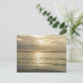 メキシコ、プラヤデルカルメン、海3 ポストカード (スタンド正面)