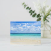 メキシコ、プラヤデルカルメン、熱帯ビーチ ポストカード (スタンド正面)