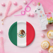 メキシコ ペーパープレート (パーティー)