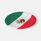 メキシコ ペーパープレート (アングル)