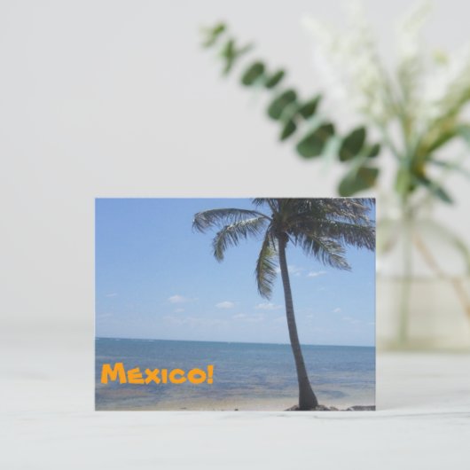 メキシコ ポストカード (スタンド正面)