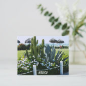 メキシコ ポストカード (スタンド正面)