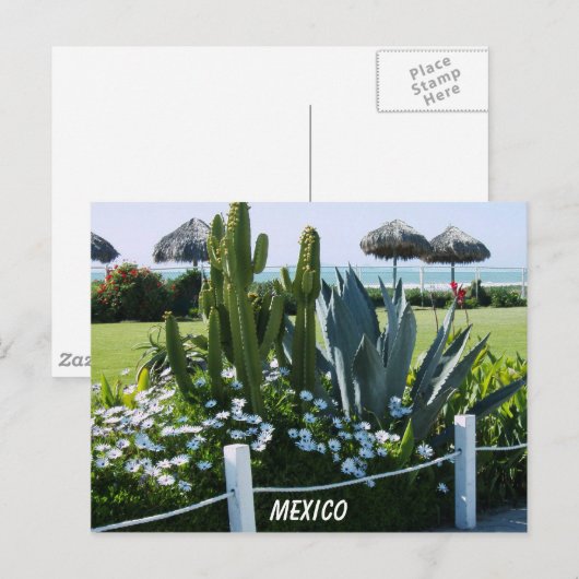 メキシコ ポストカード (正面/裏面)