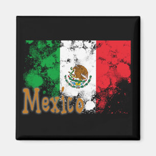 メキシコ マグネット