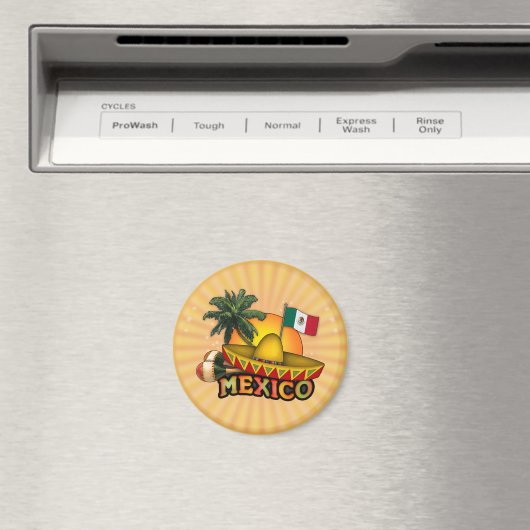 メキシコ マグネット (インサイチュ (食洗機))