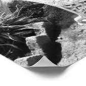 メキシコ、メキシコシティ、コヨアカン:ベンチ ポスター (角)