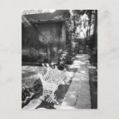 メキシコ、メキシコシティ、コヨアカン:ベンチ ポストカード (正面)