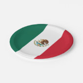 メキシコ（メキシコ）の国旗 ペーパープレート (アングル)