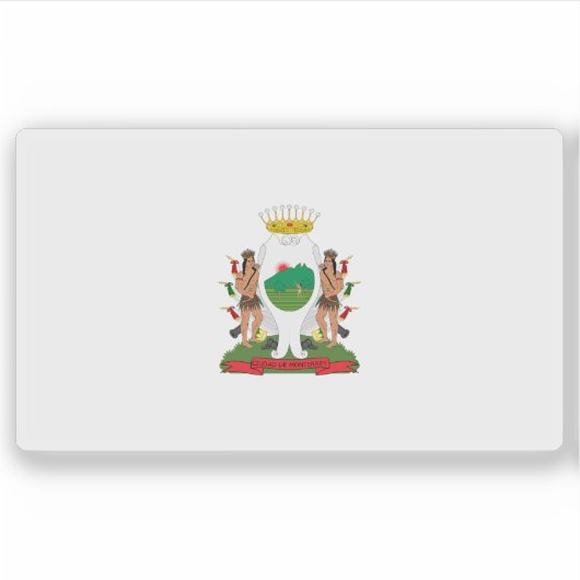 メキシコ・モンテレイ市国旗 シール (正面)