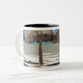 メキシコ、ユカタン半島、プログレソ。サッチ ツートーンマグカップ (正面左)