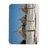 メキシコ、ユカタン半島、プログレソ。サッチ マグネット (縦)