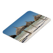 メキシコ、ユカタン半島、プログレソ。サッチ マグネット (左側)