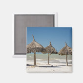 メキシコ、ユカタン半島、プログレソ。サッチ マグネット (正面/裏面)