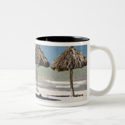 メキシコ、ユカタン半島、プログレソ。茅葺き ツートーンマグカップ (右)