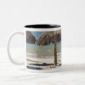 メキシコ、ユカタン半島、プログレソ。茅葺き ツートーンマグカップ (左)