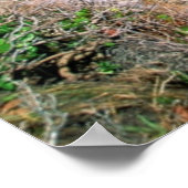 メキシコ、ユカタン、半島、トゥルム遺跡、マヤ ポスター (角)