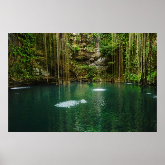 メキシコ、ユカタン、風光明媚な湖 ポスター (正面)