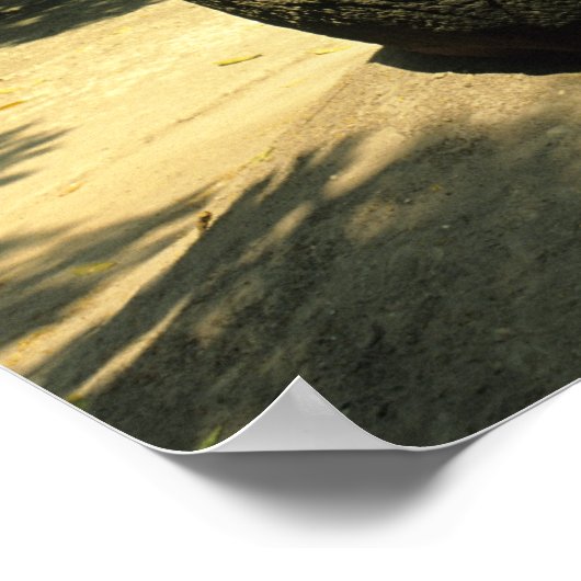 メキシコ、ヴィラエルモサ、巨大なオルメックの頭部、ラ・ベンタ ポスター (角)