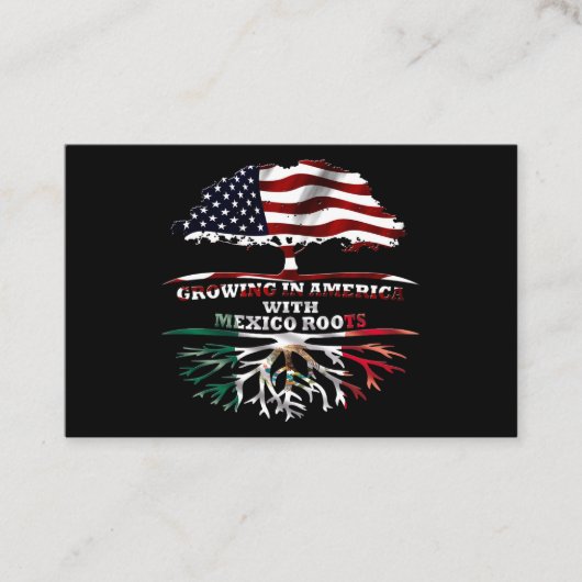 メキシコ 名刺 (正面)