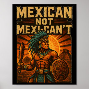 メキシコMelxiできないヴィンテージCinco De Mayo Mexic ポスター