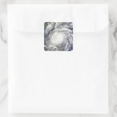 メギ台風 スクエアシール (バッグ)