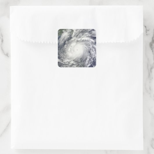 メギ台風 スクエアシール (バッグ)