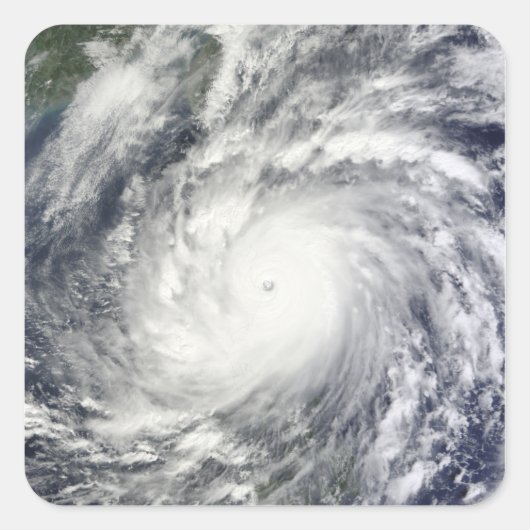 メギ台風 スクエアシール (正面)