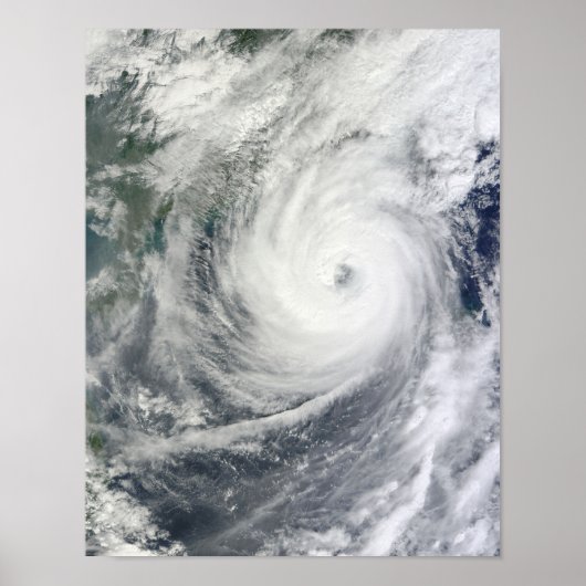 メギ台風 ポスター (正面)