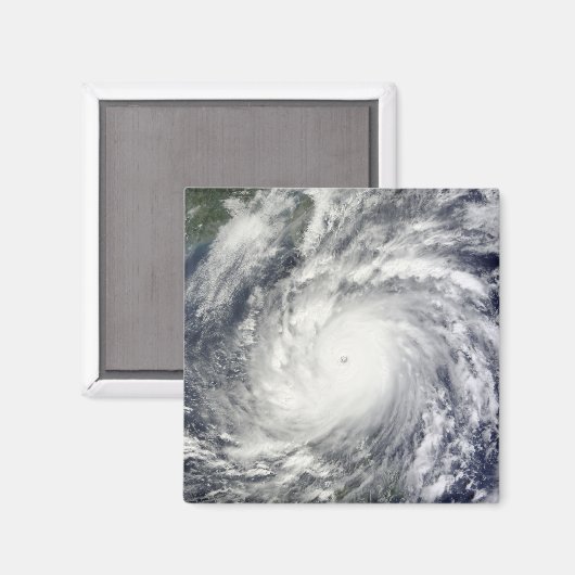 メギ台風 マグネット (正面/裏面)