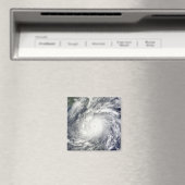 メギ台風 マグネット (インサイチュ (食洗機))