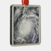 メギ台風 メタルオーナメント (右)