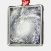 メギ台風 メタルオーナメント (左)