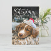 メクラシックリークリスマス型フォトカード シーズンカード (スタンド正面)