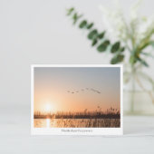 メクレンブルク・フォアポンメルン ポストカード (スタンド正面)