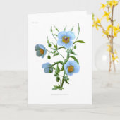 メコノプシス属(青ケシ) カード (黄色い花)