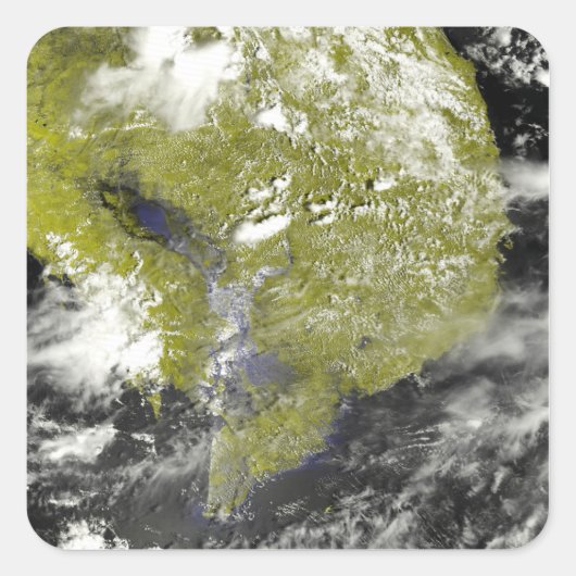 メコンデルタとトネルの樹液 スクエアシール (正面)