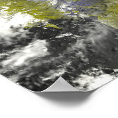 メコンデルタとトネルの樹液 ポスター (角)