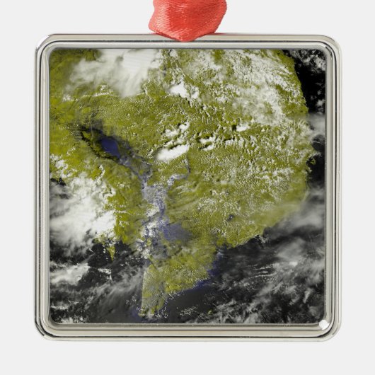 メコンデルタとトネルの樹液 メタルオーナメント (正面)