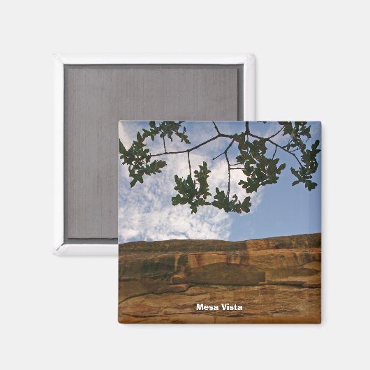 メサビスタ マグネット (正面/裏面)