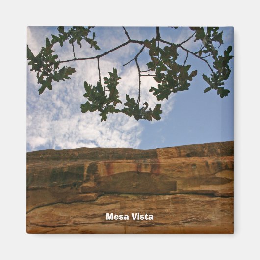 メサビスタ マグネット (正面)