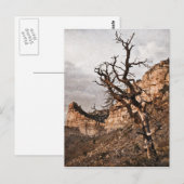 メサヴェルデ葉書 ポストカード (正面/裏面)