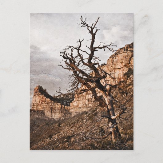 メサヴェルデ葉書 ポストカード (正面)