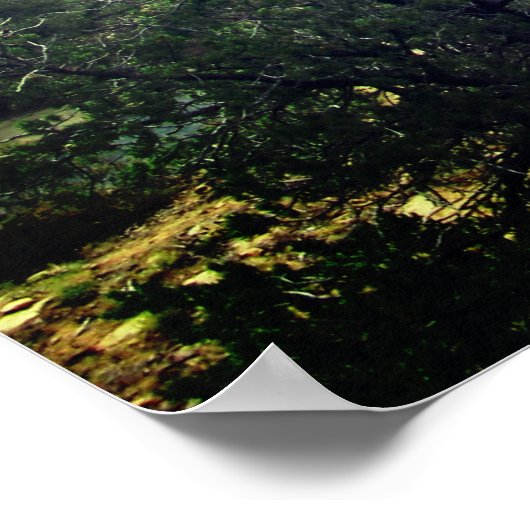 メサヴェルデ ポスター (角)