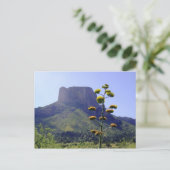 メサ及び咲きマグイ1 ポストカード (スタンド正面)